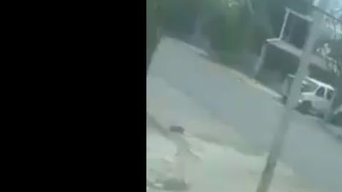 VIDEO Cártel de los Viagras se pasea impunemente por calles y frente a autoridades