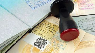 El formulario de solicitud de visa pide los "Identificadores de redes sociales".