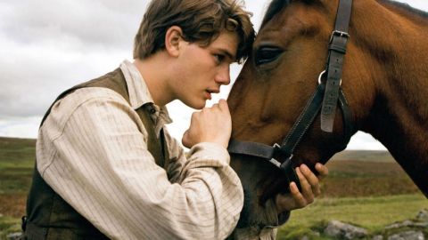War horse