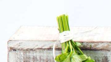 Yerbero chilango_1005512429