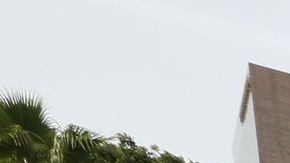 La pregunta de ciudadanía podría causar un conteo inadecuado.