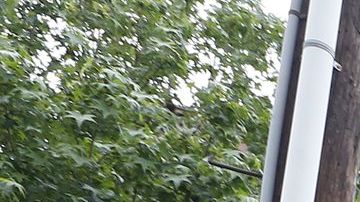 En el Estado Dorado 436,340 familias reciben asistencia en la vivienda, para un total de 936,830 personas beneficiadas.