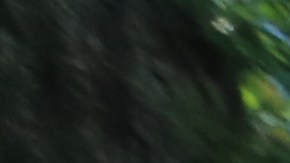 Tiffany Caban, ganadora de las primarias para la fiscala de Queens durante la conferencia de prensa.
Transfobia en Jackson Heights, Queens donde Bianey Garcia y Norma Ureiro fueron atacadas con gas pimienta en la esquina de Roosevelt y calle 82 el sabado mientras filmaban un documental.