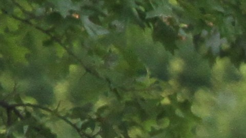 Proteccin a los ciclistas en Nueva York y la junta vecinal de Central Park West aprob la creacin de una via para ciclistas de la 59 a la 110.