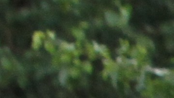 Proteccin a los ciclistas en Nueva York y la junta vecinal de Central Park West aprob la creacin de una via para ciclistas de la 59 a la 110.