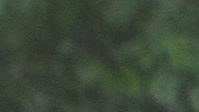 Desde la calle 59 y la calle 110 de la avenida Central Park West crearán ruta especial para pedalistas.