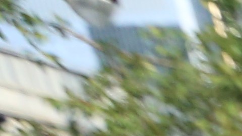 La peruana Rosa Ramirez con su hija Valery esperaron desde la madrugada para ver a las campeonas de cerca.