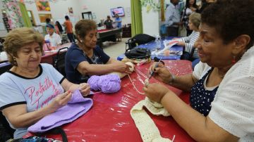 Envejecientes tienen actividades de domino y pool como as tambien, tejer y hasta festejar cumpleanos en el Comfort Adult Day Care Center con su coordinadora general Maria Hidalgo en Corona, Queens.