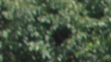 Trabajadores de Con Edison en calle de NYC, 2019.