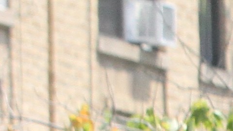 Crown Heights, Brooklyn, NYC.