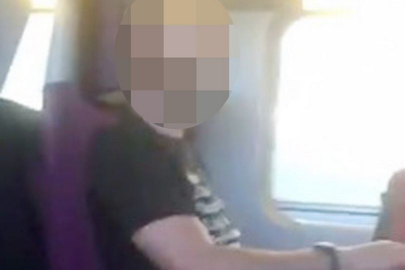 Hombre es filmado masturbándose en un tren.