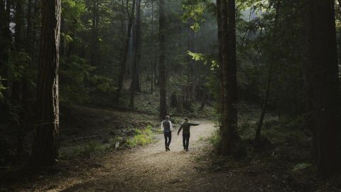 Better Place Forests dice que los cementerios son costosos.