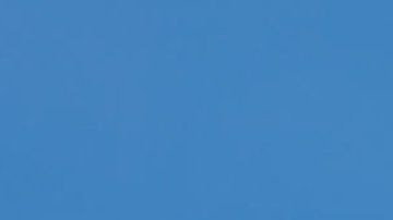 Se estima que al menos el 20% de la población tiene miedo a volar.