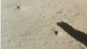 Neil Armstrong y Buzz Aldrin en la Luna en 1969.