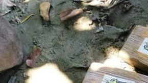 El hallazgo ocurrió cerca de una playa en la provincia de Quezón.