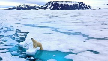 ¿A qué velocidad se derrite el Ártico? ¿Podemos pararlo?