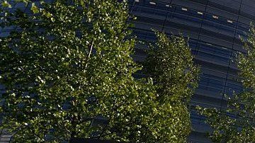 107850777_gettyimages-534093094