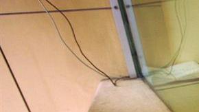 Remesas de mexicanos. EFE/Archivo