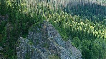 16303712-7269379-image-a-34_1563698046793