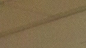 Cinco neogranadinos inician investigación en alianza con el Centro de Asuntos Globales de NYU.