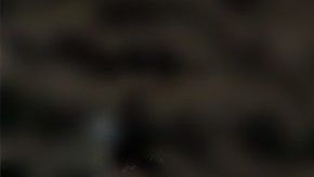 El lujoso vehículo se encuentra en renta