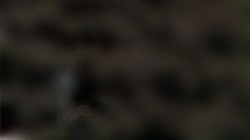 El lujoso vehículo se encuentra en renta