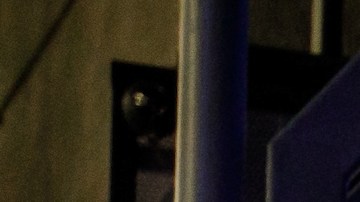 Inauguración del "Jurassic World- The Ride".