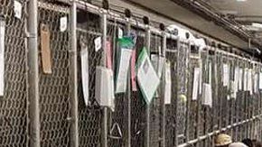 Increíble iniciativa para celebrar el 4 de julio.