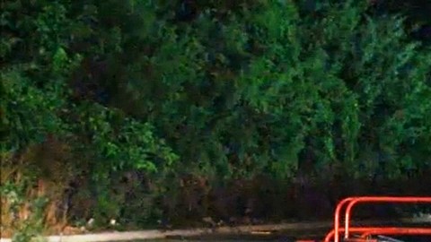 Zona boscosa detrás del almacén