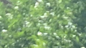 Neoyorquinos se preparan para enfrentar la primera ola de calor en 2019