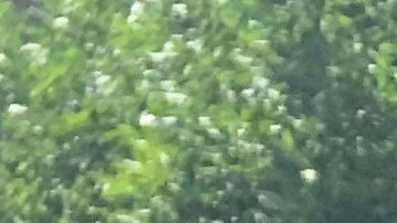 Neoyorquinos se preparan para enfrentar la primera ola de calor en 2019