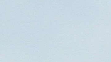 Críticos pasearon el "bebé Trump" antes del discurso en la capital