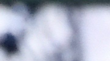 La rivalidad deportiva está dominada por Nadal quien registra 24 triunfos por 15 del suizo