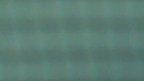 El serbió exlicó que inició esta tradición en 2015