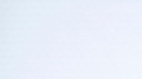 Nilbia Coyote, Brooklyn, NY