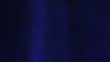 Esta no es la primera vez que Abigail Disney alza la voz por los empleados.