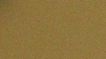 El padre Alejandro Solalinde.