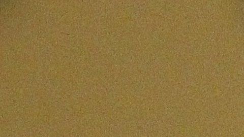 El padre Alejandro Solalinde.