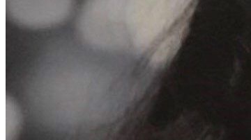 Alora Benítez, de 15 años, desapareció junto a dos personas sospechosas del asesinato ocurrido en Carson el 16 de abril.