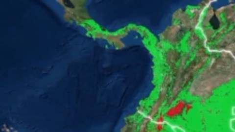 Dos tercios del Amazonas es territorio brasileño.