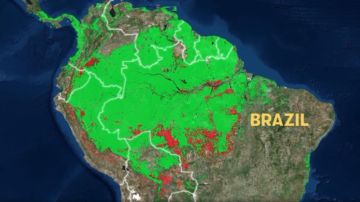 Dos tercios del Amazonas es territorio brasileño.