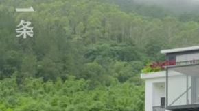 Seguro que muchas aventuras les esperan a este grupo de amigas.