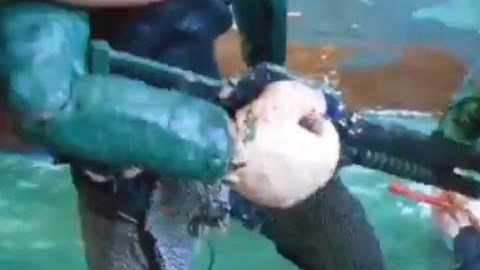 El video fue compartido en la cuenta de Twitter True gore art.