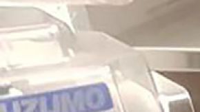 Pingüinos son capturados robando sushi.