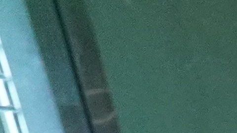 El apagón también provocó la interrupción del servicio de varias líneas del Subway.