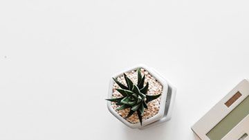 Gracias a estas apps, podrás tener un mejor control del dinero que entra y sale de tu cartera.