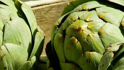 Alcachofa
