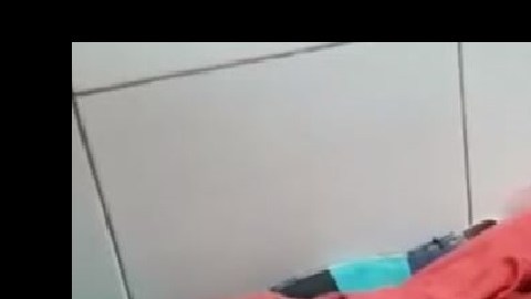 bebe