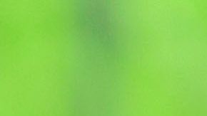 Tras la traición de traer a Oribe Peralta, emblema del América, a Chivas; ahora la directiva del rebaño confirmó la llegada de Antonio “Pollo” Briseño como refuerzo para la siguiente temporada.