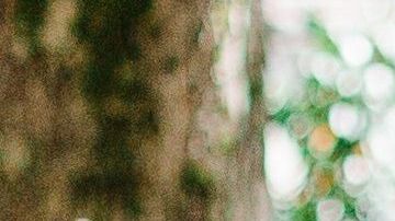 Recomiendan no quedarse dentro de la casa si no tiene aire o ventiladores.